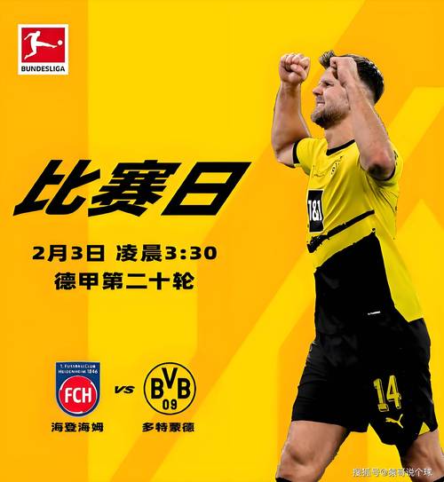 多特蒙德与不莱梅巅峰对决：赛前预测及结果解读