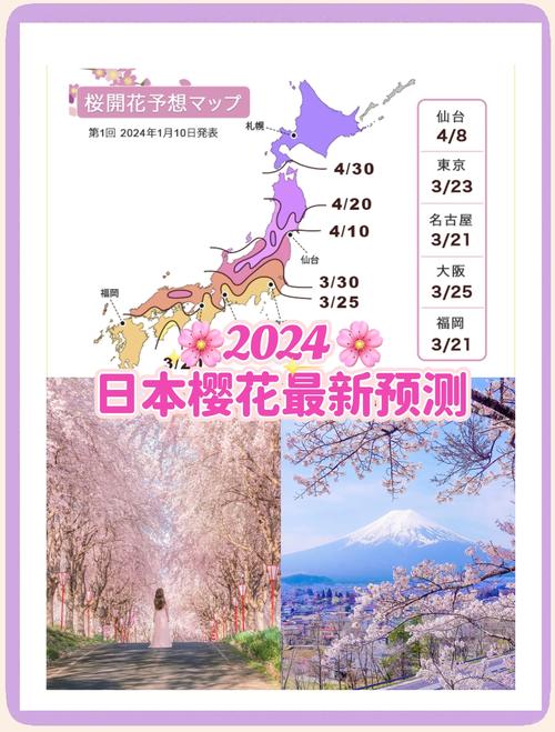 日本樱花几月份开？各地樱花开花时间表速览