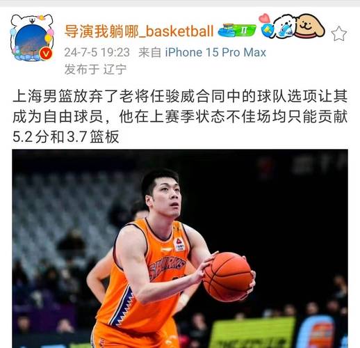任骏飞vs任骏威：谁的篮球生涯更成功？