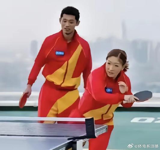 张继科对刘诗雯的爱有多深？真相令人唏嘘