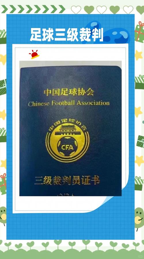 世界杯足球比赛裁判团队构成？究竟有几个裁判员？