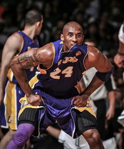 科比效力于哪支NBA球队？探秘科比的篮球生涯和球队辉煌战绩。