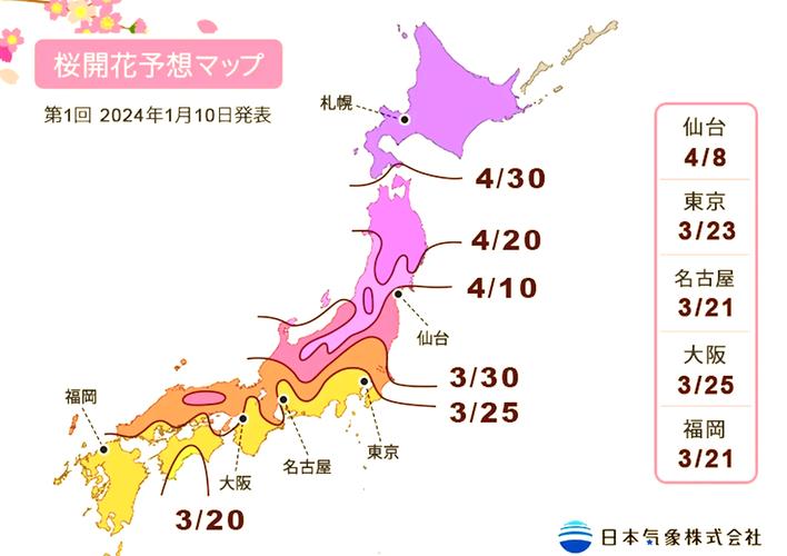 大阪樱花什么时候开？2024年大阪樱花开花时间预测及赏花攻略
