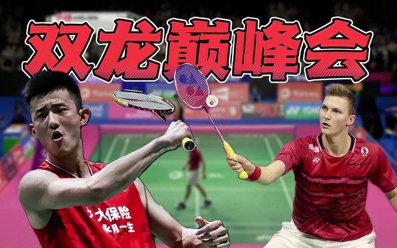 安赛龙与谌龙谁更值得称赞？从实力和影响力分析