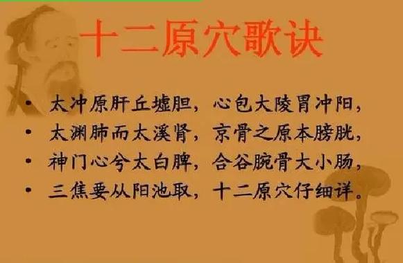 原口元气场上司职什么位置？深度解析其位置特点