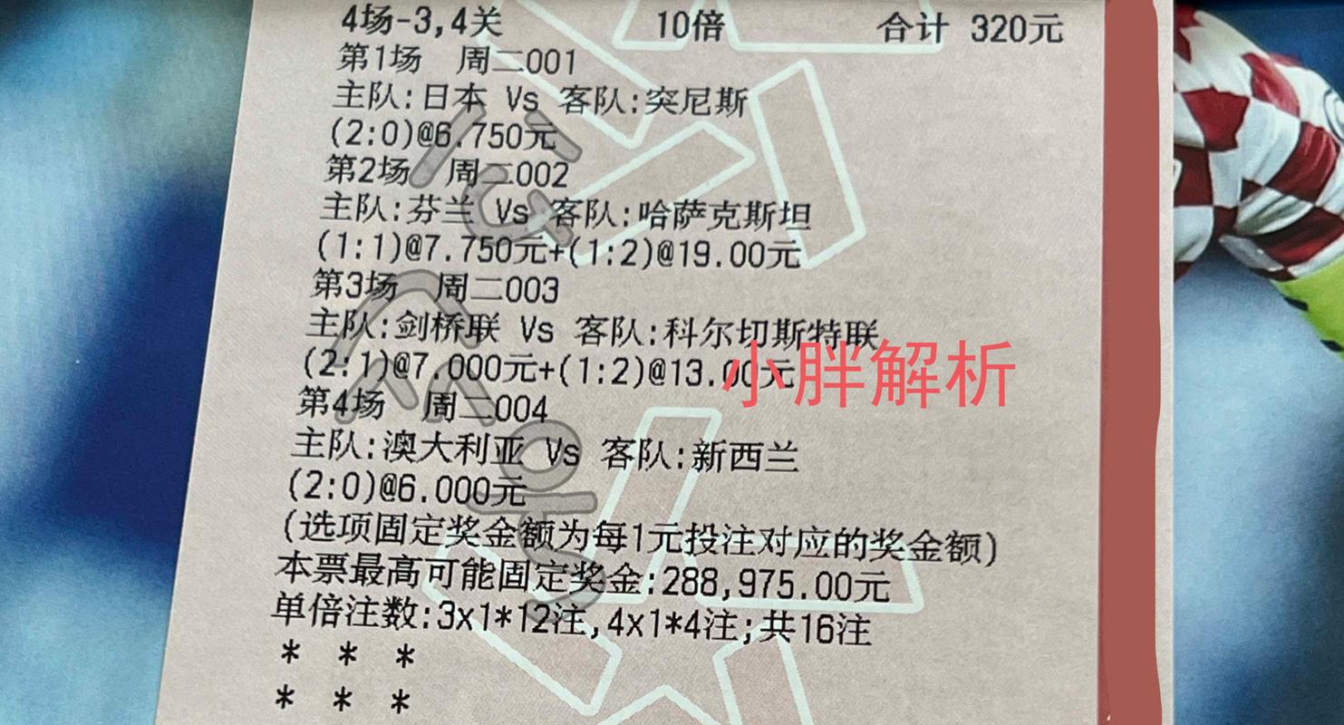 多特蒙德与不莱梅巅峰对决：赛前预测及结果解读