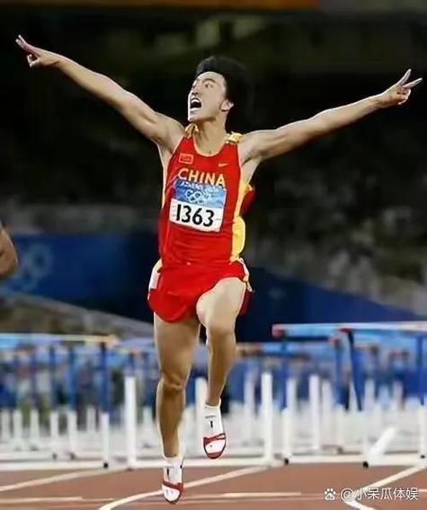 刘翔vs苏炳添：田径巅峰对决，谁是真正的王者？