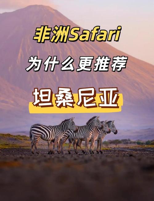 你知道坦桑尼亚位于哪个洲吗？一文带你了解坦桑尼亚