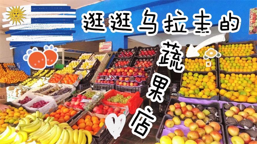 乌拉圭欢迎中国人投资吗？政策解读及分析