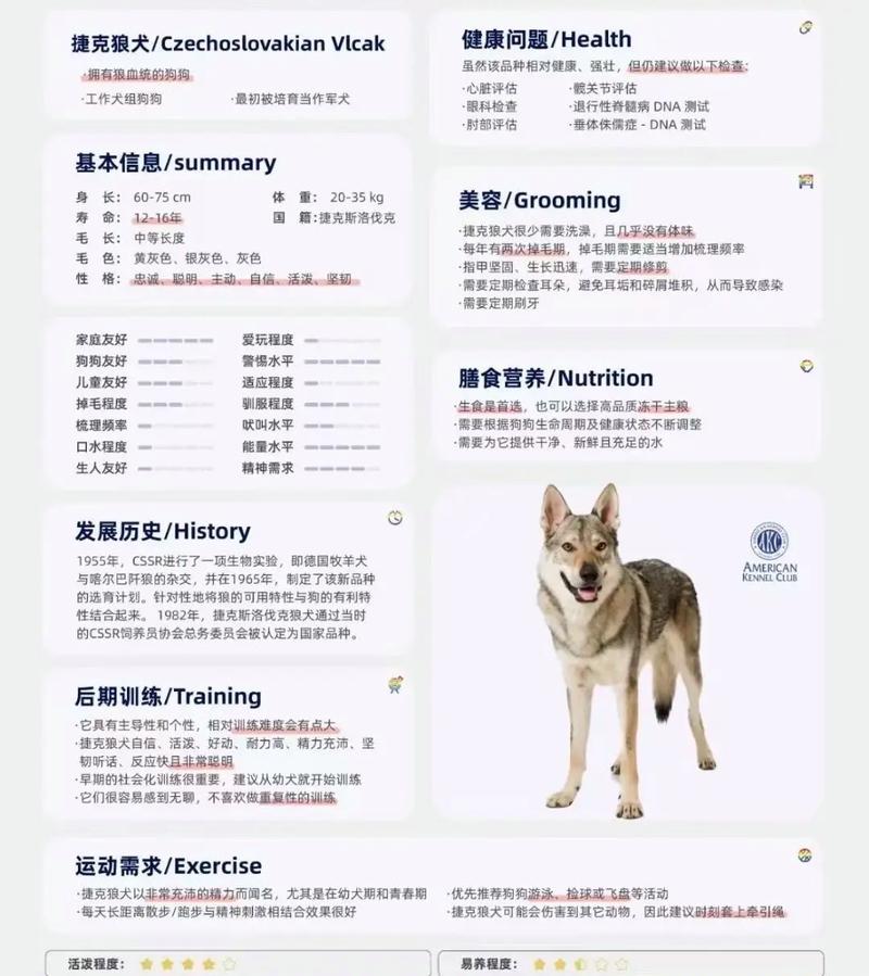捷克狼犬价格详解：血统、品质决定价格高低