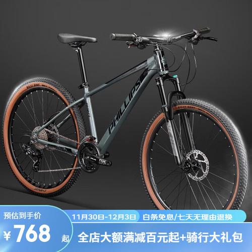 想买菲利普自行车？看完这篇你就懂了！