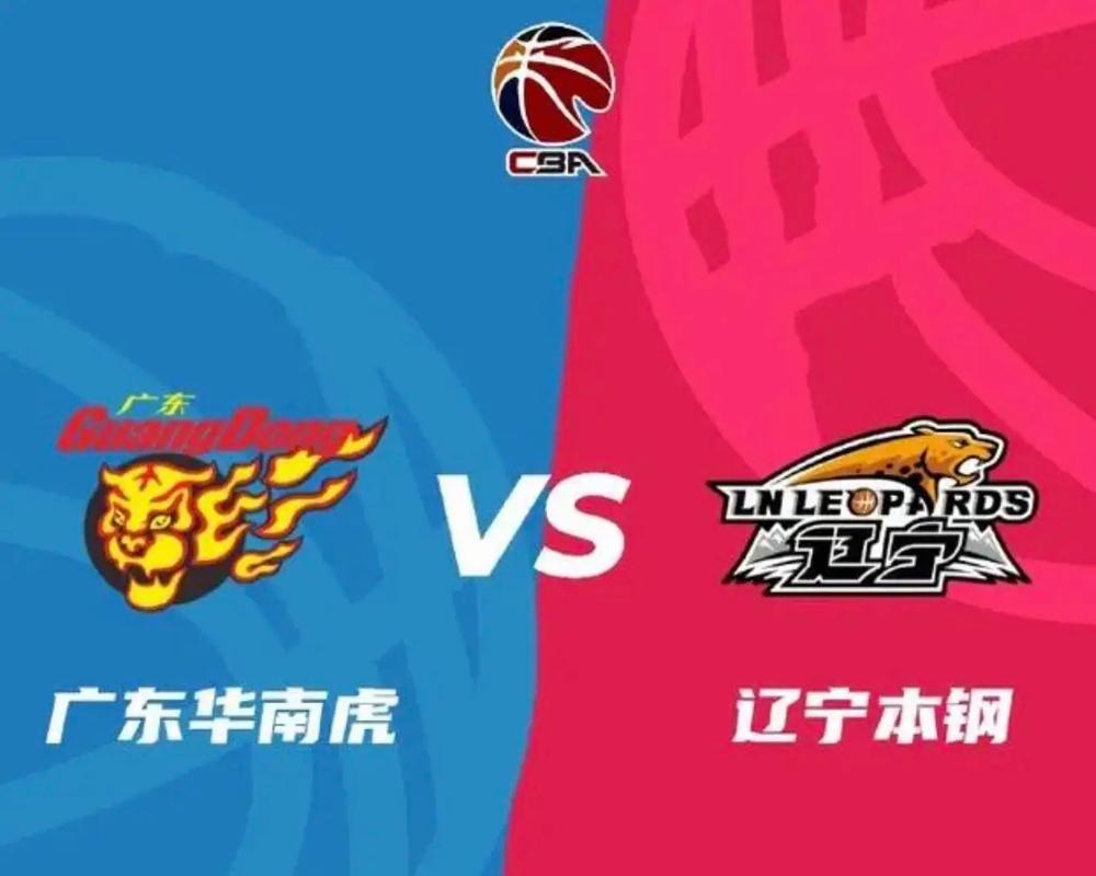 辽宁vs广东比赛结果揭晓：究竟谁赢了这场关键战役？