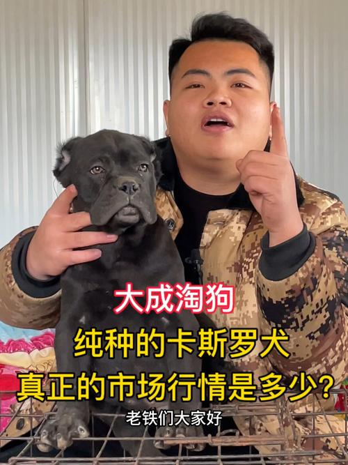 卡斯罗犬多少钱一只？价格范围及影响因素详解
