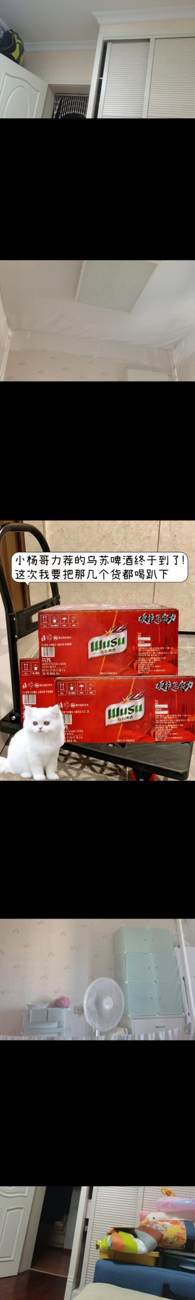 想知道乌苏啤酒一瓶价格？这里有详细价格表！