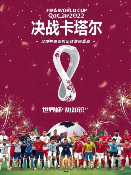 还在为世界杯投注点发愁？这里有你需要的答案！