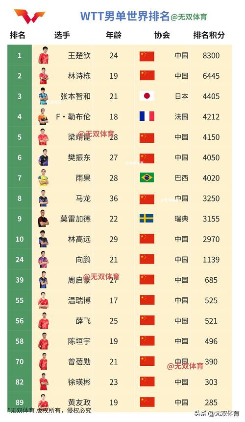 乒乓球公开赛有哪些？国际国内比赛大盘点