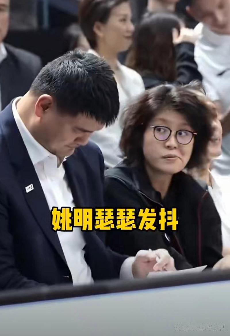 揭秘叶莉拒绝姚明的真相：爱情与梦想的博弈