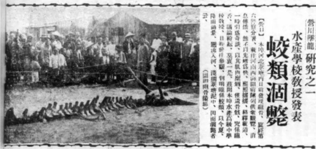某东足球圈爆出惊天丑闻，背后真相令人震惊！