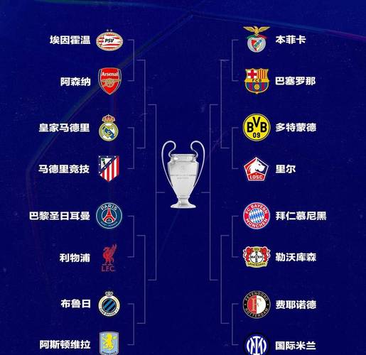 欧冠决赛场地怎么确定？揭秘欧冠决赛场馆选择标准