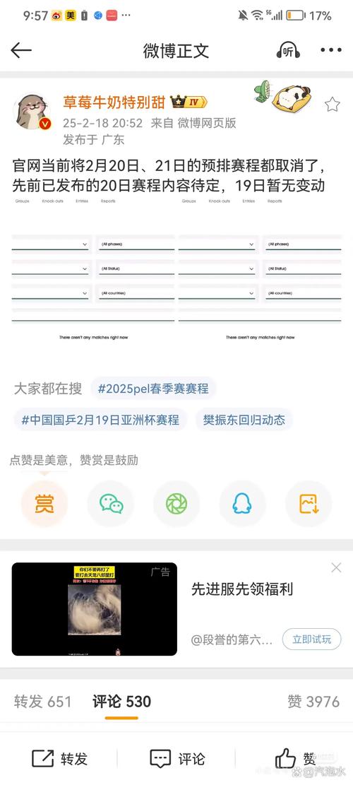 乒乓球世界杯取消？赛事最新动态及未来走向分析