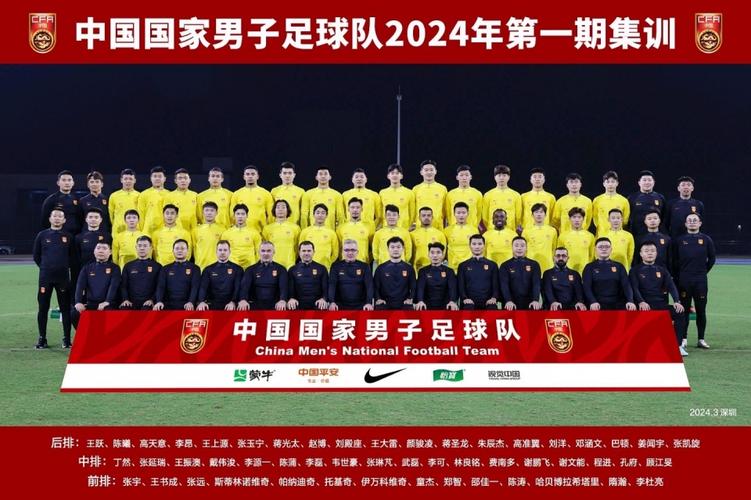 国足归化球员名单大揭秘：现在有多少位？