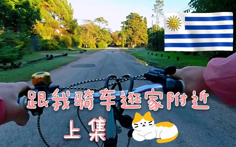 乌拉圭欢迎中国人投资吗？政策解读及分析