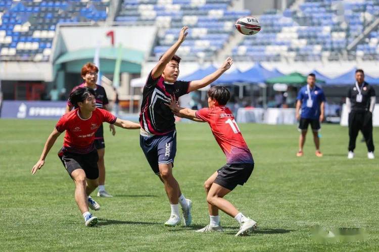 橄榄球比赛危险吗？会不会真的撞死人？