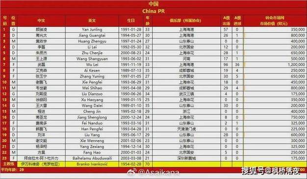 深入了解国足归化球员：名单、现状及未来走向