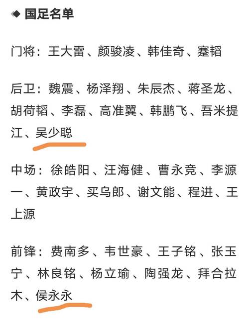 深入了解国足归化球员：名单、现状及未来走向