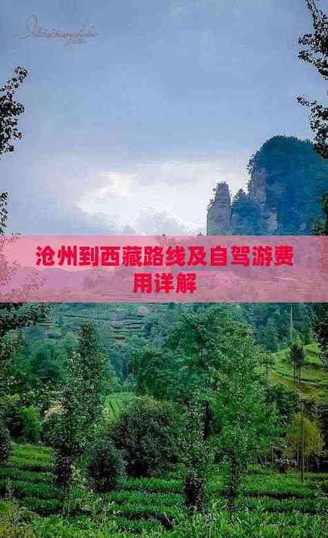 墨西哥飞荷兰要多久？航班时间及路线详解