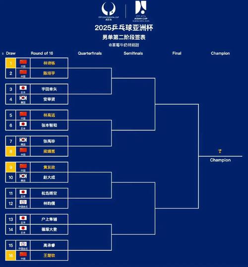 亚洲区12强赛:进世界杯的具体规则和流程