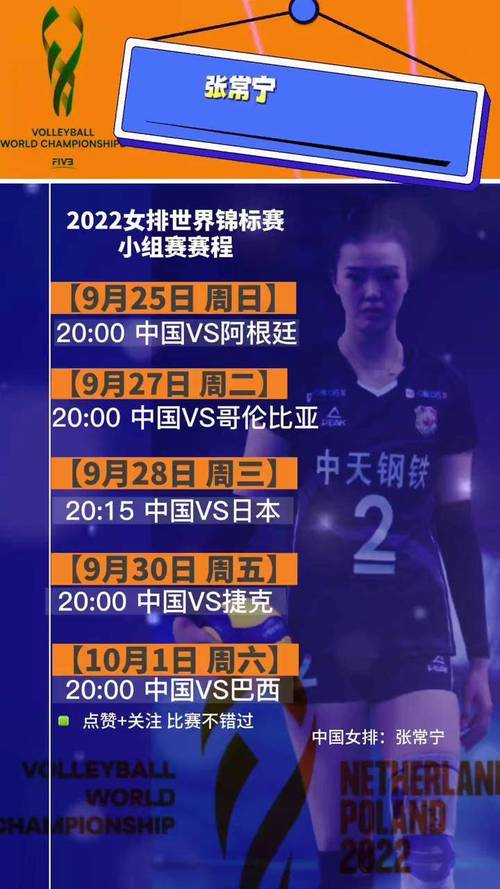 女排有哪些国际赛事？详解世界女排联赛和世锦赛