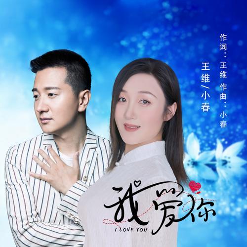 好听到哭的歌曲：你不爱我我爱你原唱高音质试听
