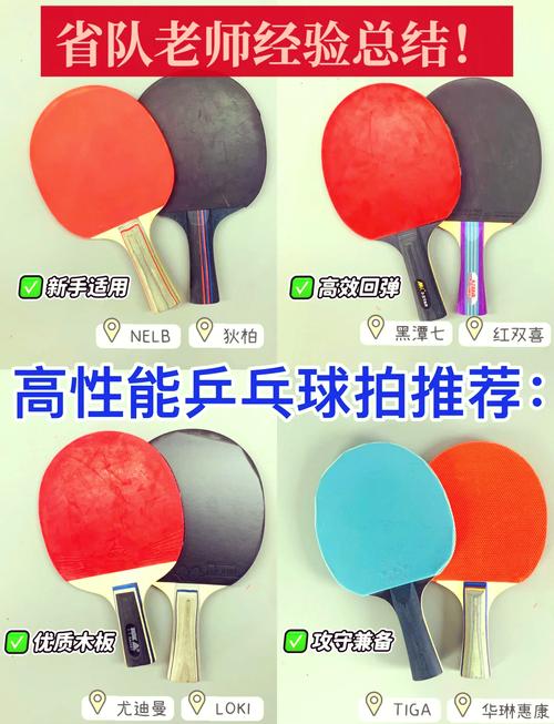 入门级乒乓球拍几星最好？星级与球技匹配指南