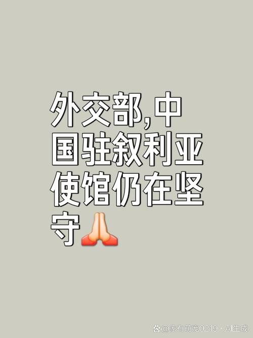 叙利亚对中国友好吗？中叙关系现状及未来发展趋势分析