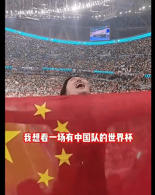 为什么国足总是让人失望？揭秘背后的真相