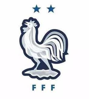 法国赢得过几次世界杯？细数高卢雄鸡的荣耀时刻！