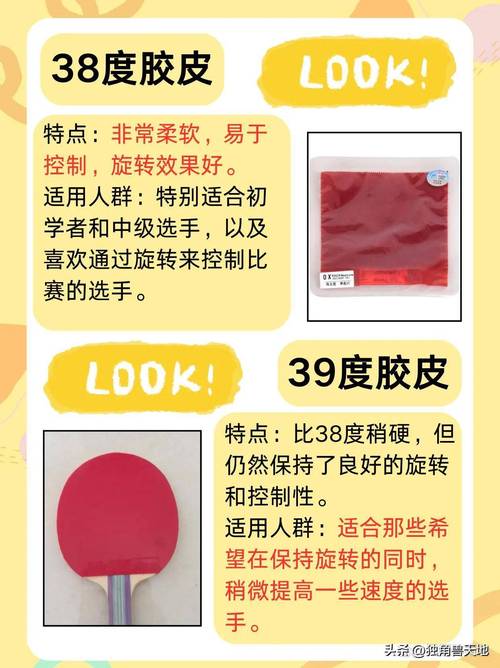 乒乓球台价格多少？一张多少钱？不同材质价格大揭秘