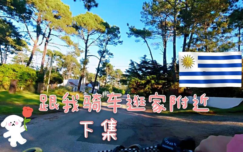 乌拉圭欢迎中国人投资吗？政策解读及分析