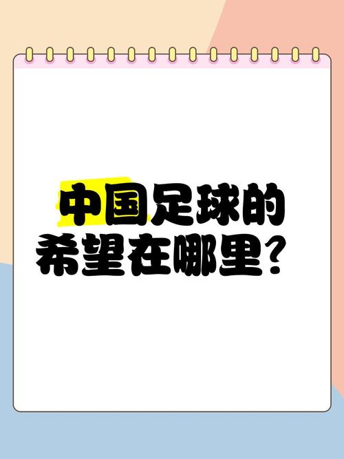 中国足球的希望在哪？我们应该如何整治足协