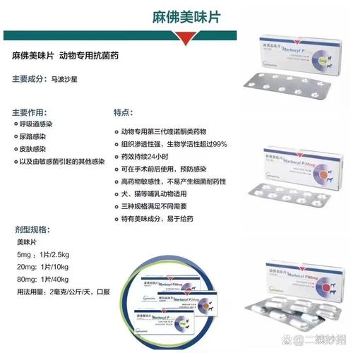 常见的喹诺酮类药物都有哪些?功效和副作用一览