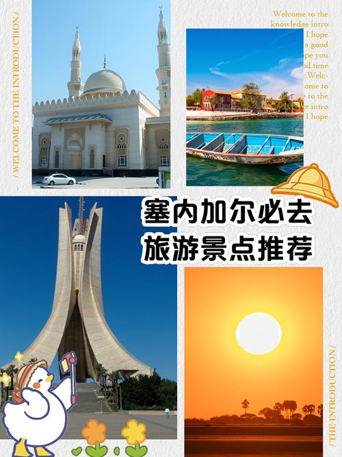 塞内加尔旅游指南：安全、卫生、文化习俗全面解读