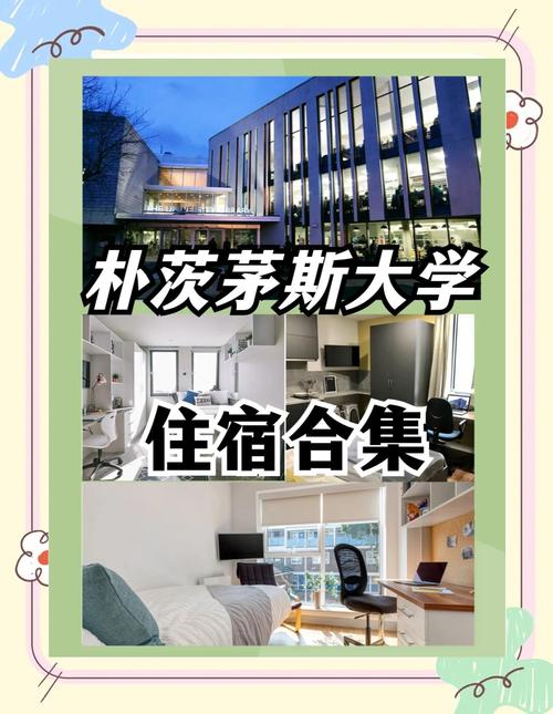 想去朴茨茅斯大学？先看看这些真实评价！