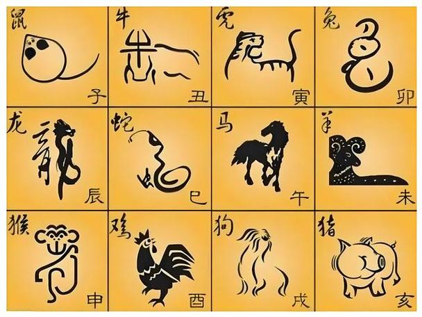 2012年出生的人属什么生肖？详解2012年历法知识