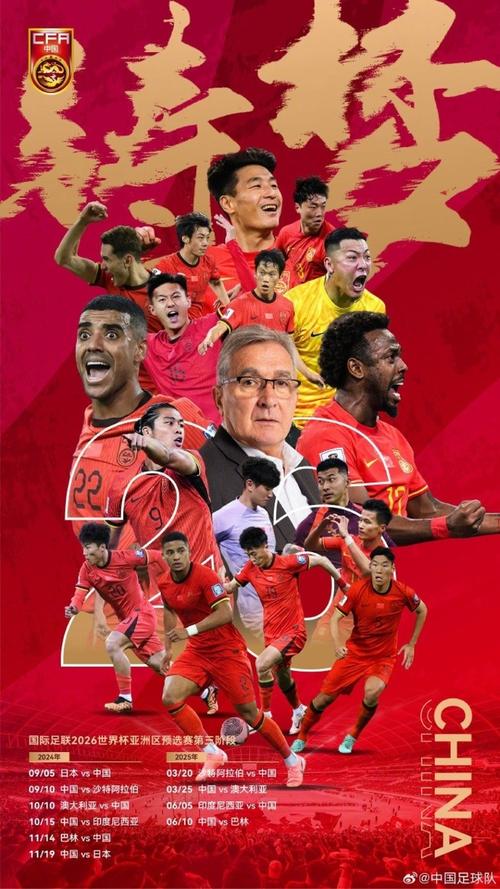 冲击世界杯：中国男足的几次尝试与一次成功