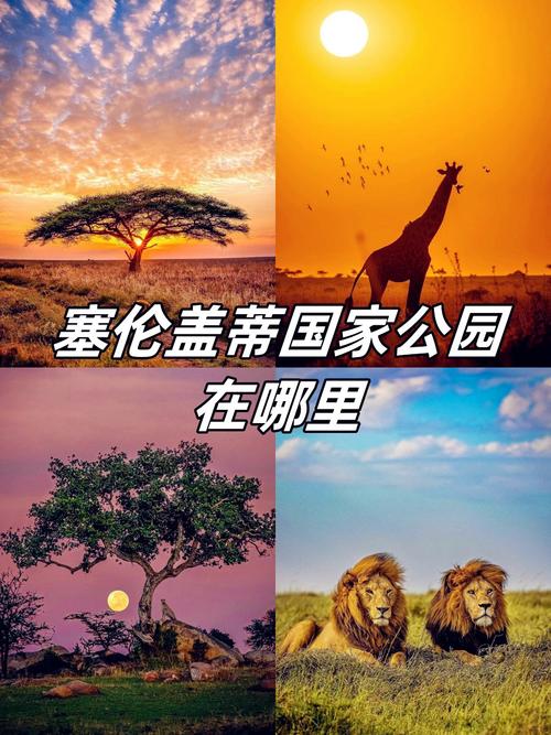 你知道坦桑尼亚位于哪个洲吗？一文带你了解坦桑尼亚
