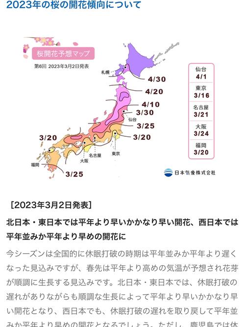 大阪樱花什么时候开？2024年大阪樱花开花时间预测及赏花攻略