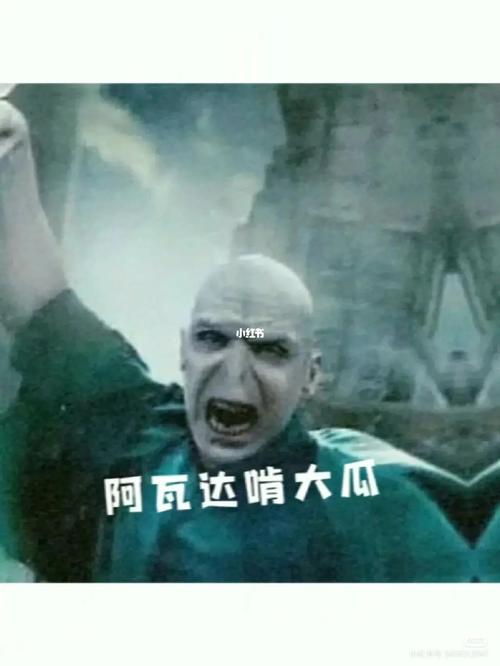 你懂“阿瓦达啃大瓜”吗？揭秘哈利波特里的这个网络流行梗