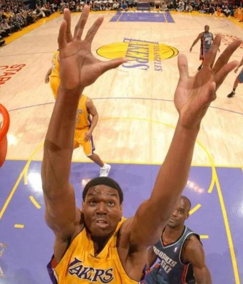 拜纳姆的NBA生涯为何戛然而止？他的退役原因是什么？