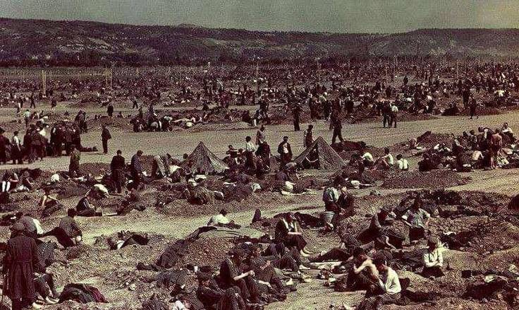 二战哪个国家最惨？多角度分析战争带来的灾难